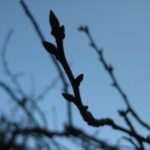 最近電動ドライバーが手放せない、職人さんは偉大だ