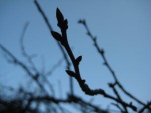 最近電動ドライバーが手放せない、職人さんは偉大だ