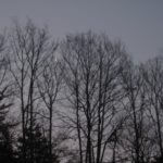 早起きは3文の得?