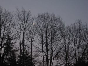 早起きは３文の得？