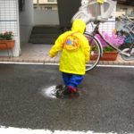 本日早朝も録画した番組鑑賞