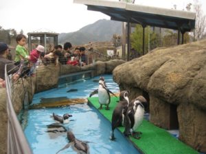 ペンギン☆ペンギン