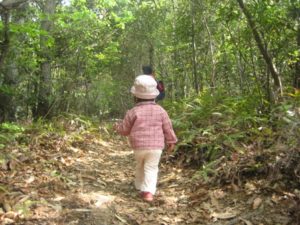 日浦山へピクニック