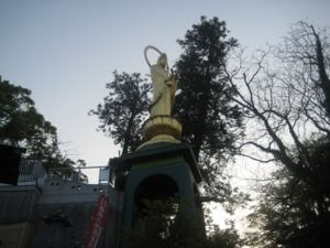 日浦山をトレイルラン