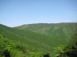 【ロードバイク練習】野呂山まで往復、ハンガーノックになりそう