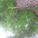 人生でやっておきたい100のこと