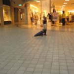 雨の日も。。ランニングは削れない