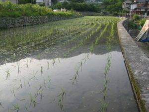 初取材、経済誌の取材を受けました