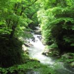 1泊2日で帝釈峡に森林浴、本当に緑が綺麗でした