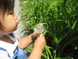 チャレンジ・スピリット「エンデュアランス号漂流」