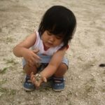 本屋さんはいつから万屋になってしまったのか