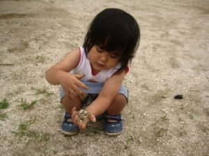 本屋さんはいつから万屋になってしまったのか