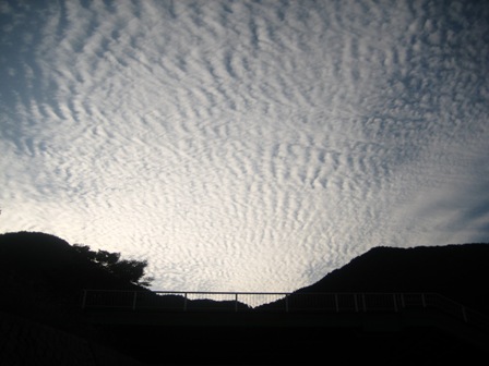雲