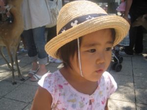 来客ラッシュも終わり、静かな生活が戻ってきました