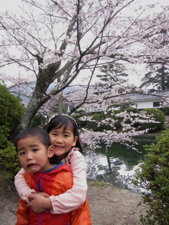 錦帯橋まで花見