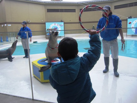 宮島水族館