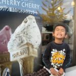 本日息子の誕生日のプレゼントを買いに行ってきました