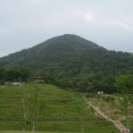 じいちゃん、ビール!