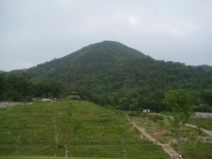 じいちゃん、ビール！